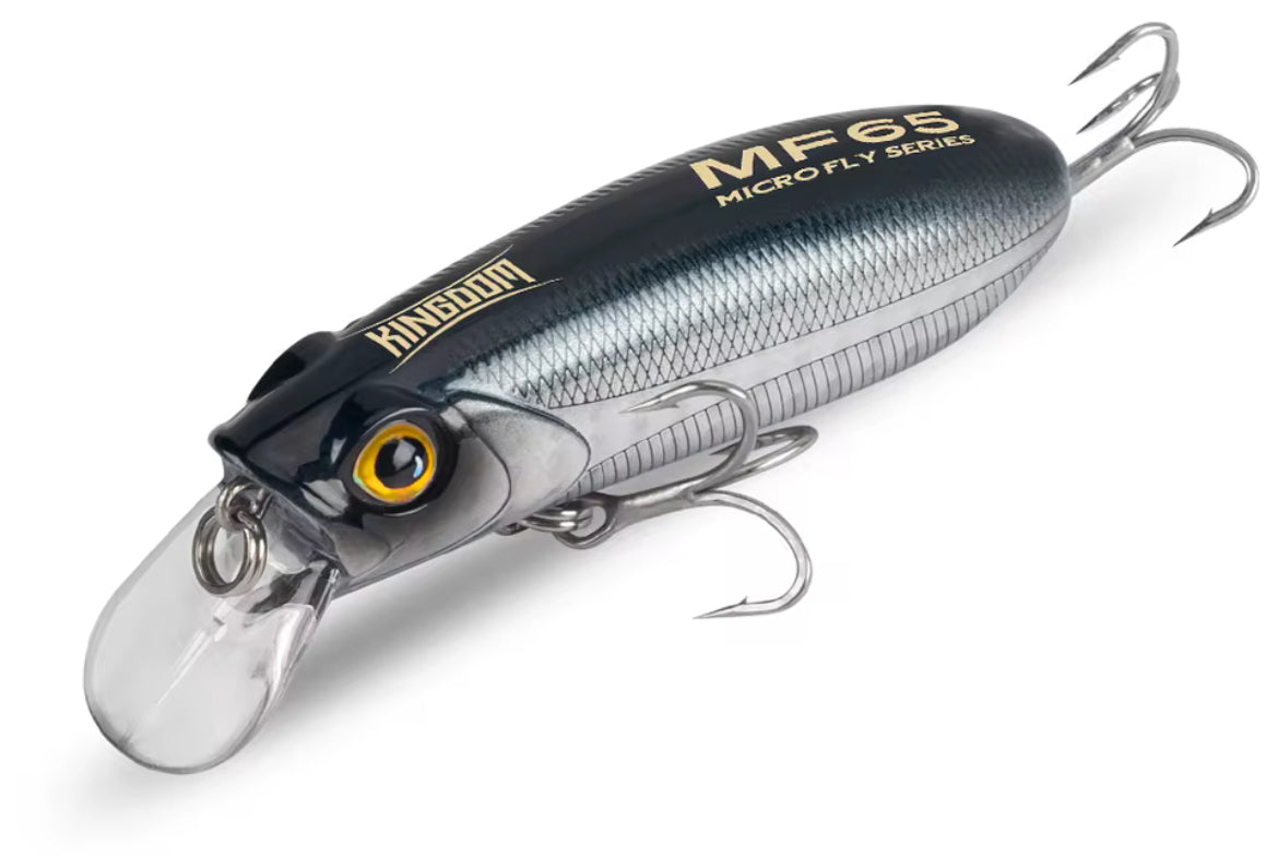 Kingdom Micro-Fish Scales Series