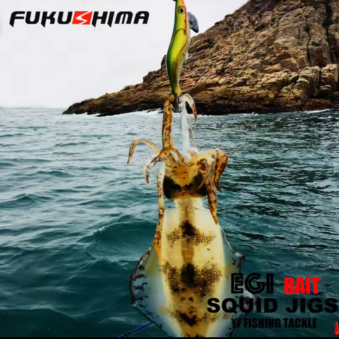 Egi Bait Fukushima