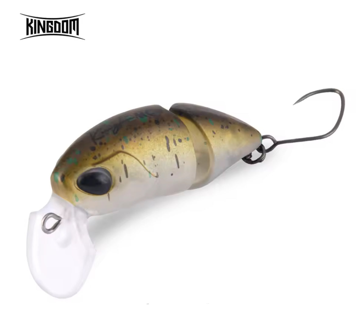 Kingdom Micro Expert snodato
