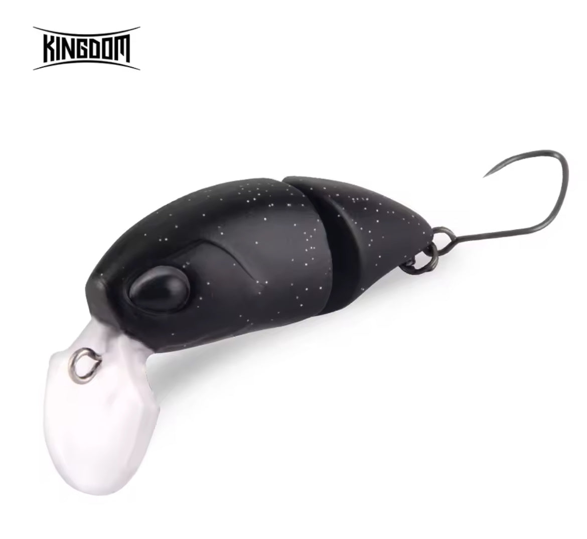 Kingdom Micro Expert snodato