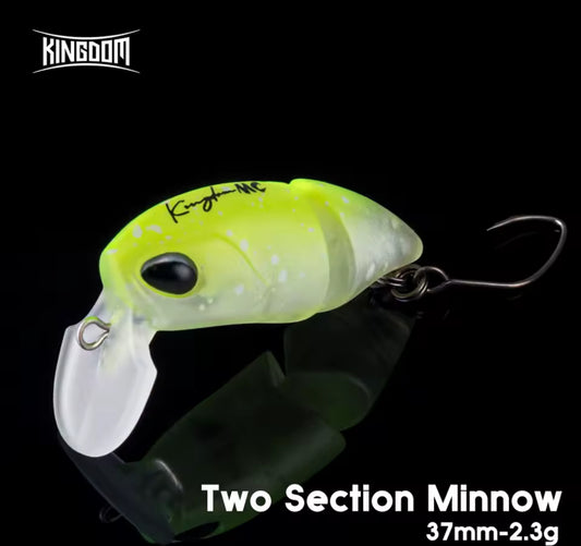 Kingdom Micro Expert snodato