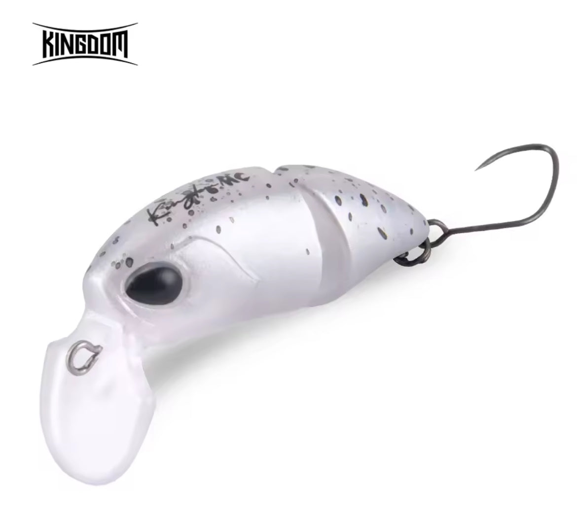 Kingdom Micro Expert snodato