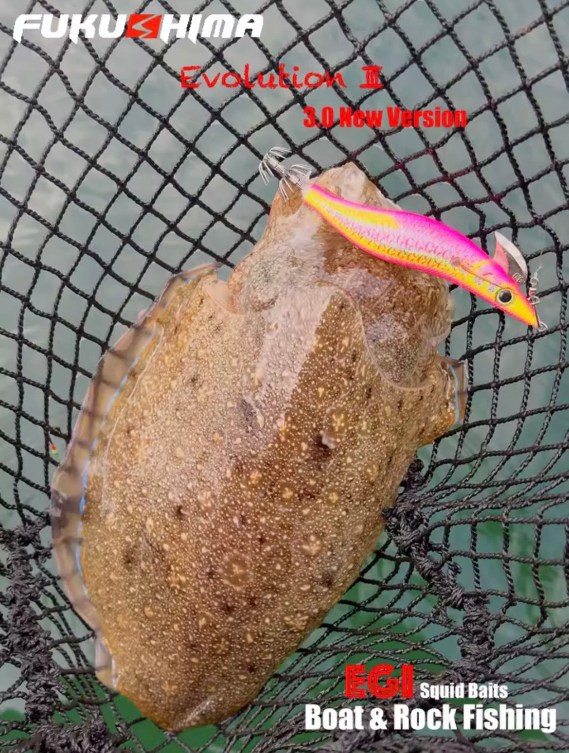 Egi Fukushima Evolution 3 Squid Legend